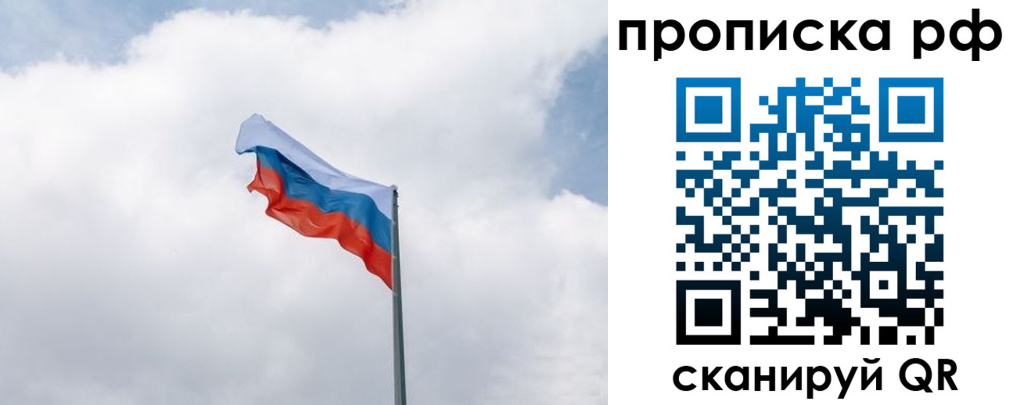 прописка гарантия в Курчатове